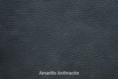 Amarillo_Anthracite