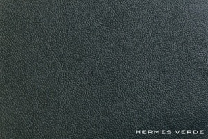 HERMES_Verde