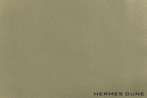 HERMES_Dune