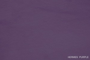 HERMES_Purple